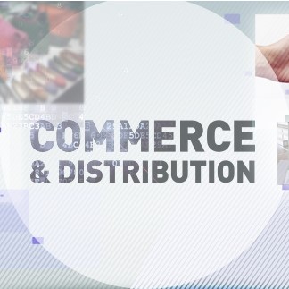 Licence Commerce et Distribution